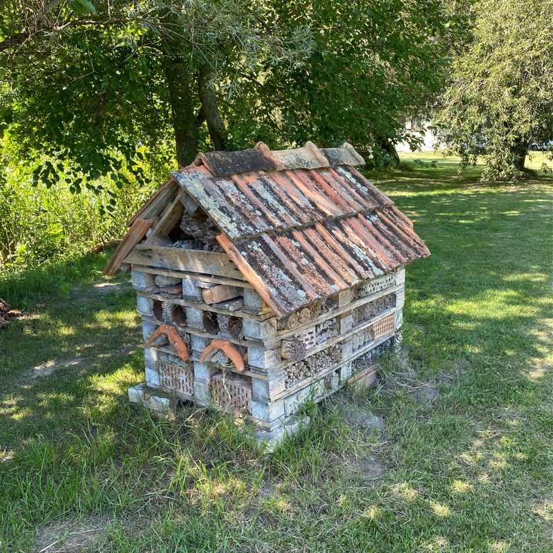 Kolárovo -Veľký Meder - Trstice - Vlčany - Kolárovo