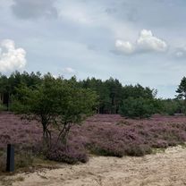 Photo 8 of the Bikemap route "Tilburg-Den Bosch-Tilburg"