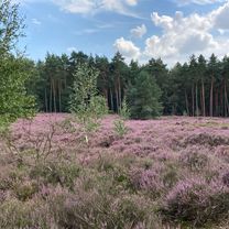 Photo 7 of the Bikemap route "Tilburg-Den Bosch-Tilburg"