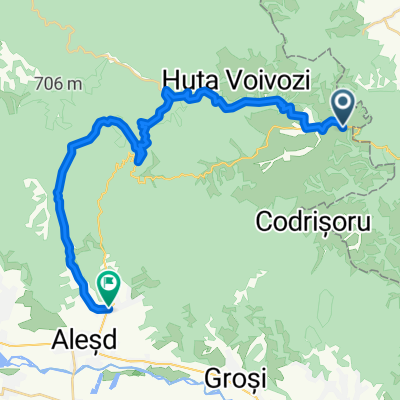 Sinteu - Huta Voievozi - Valea Sinteului - Pestis