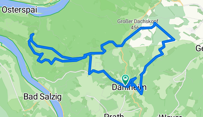 MTB Dahlheim-Rheinsteig Osterspai-Dachskopf-Büchelborn