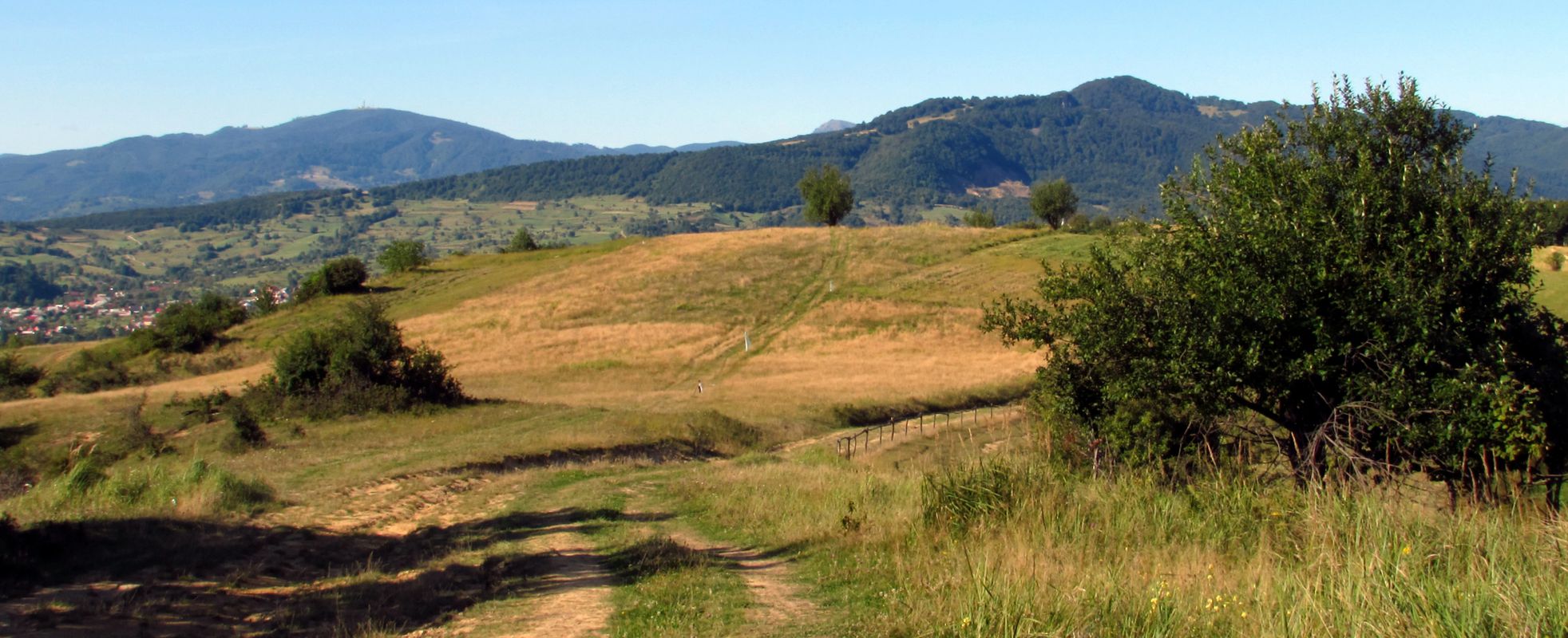 Borcut Radfahren