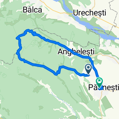 DC28, Viișoara to Comu kina Păunești
