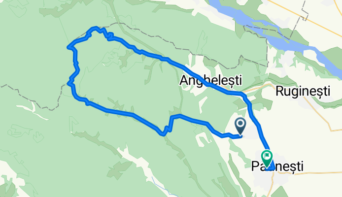 DC28, Viișoara to Comu kina Păunești