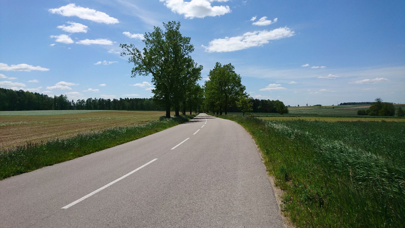Białystok - Warszawa rowerem przez Narwiański Park Narodowy