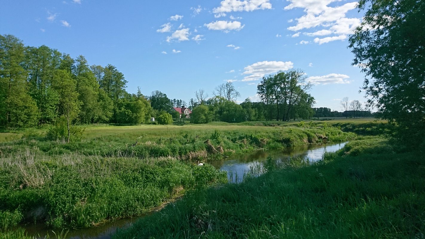 Białystok - Warszawa rowerem przez Narwiański Park Narodowy
