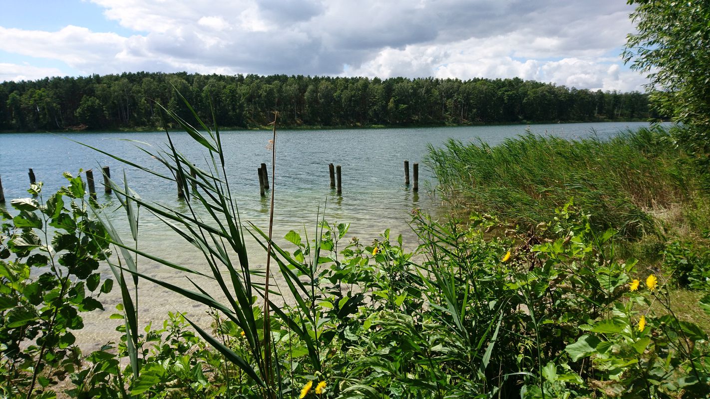 Włocławek - Grodzisk Mazowiecki na rowerze