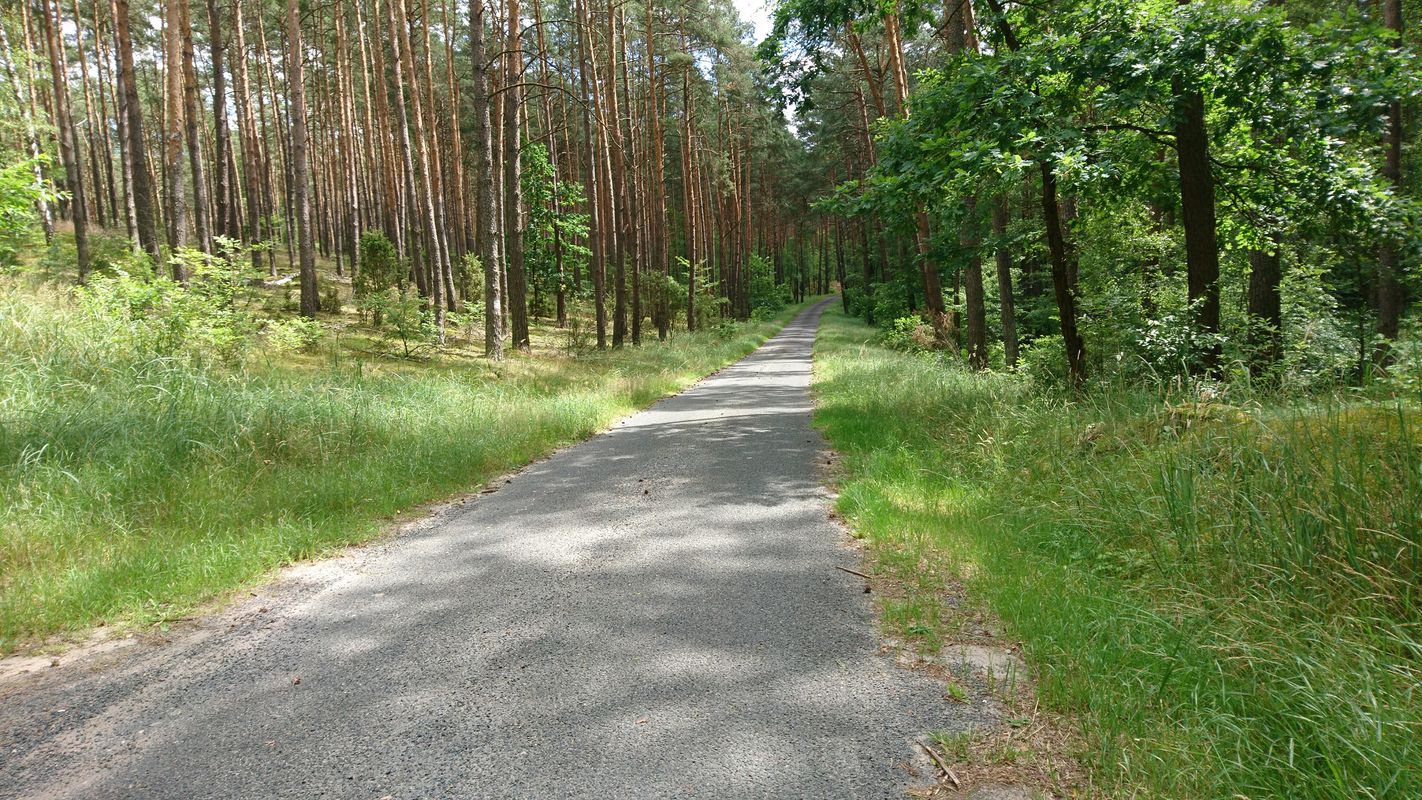 Włocławek - Grodzisk Mazowiecki na rowerze