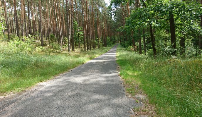 Photo 2 of the Bikemap route "Włocławek - Grodzisk Mazowiecki na rowerze"