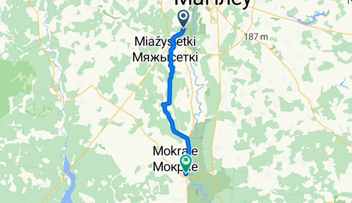 От Р93, Селец до Р120 18, Быхов