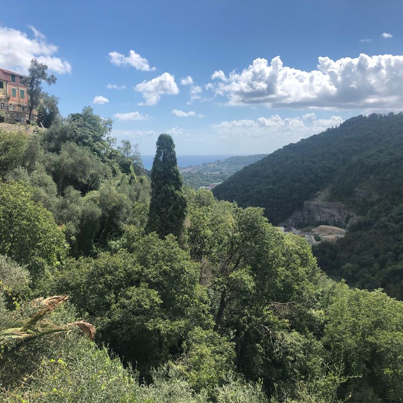 immersi nel verde