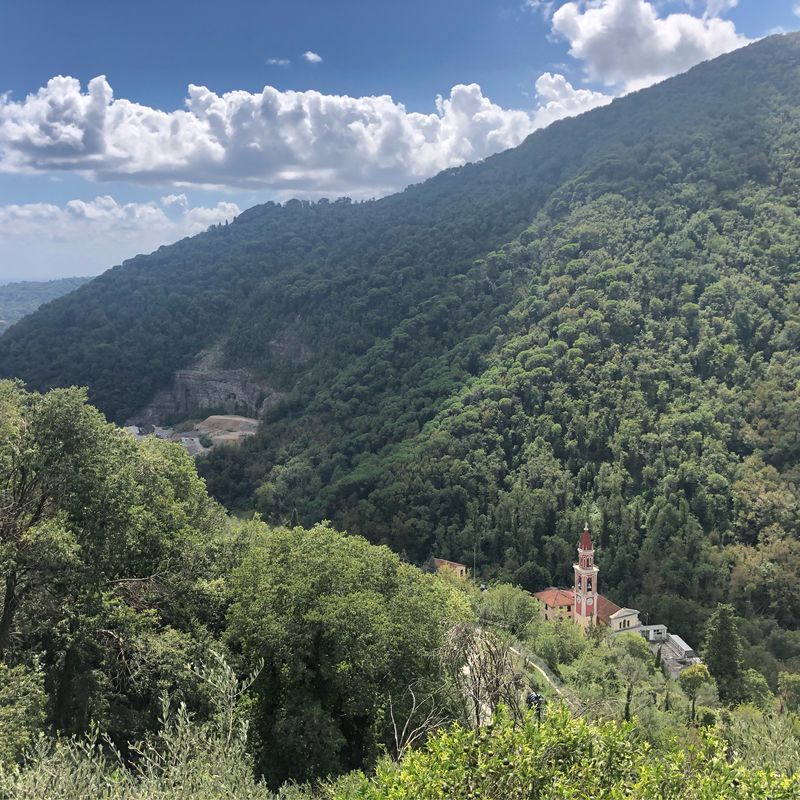immersi nel verde