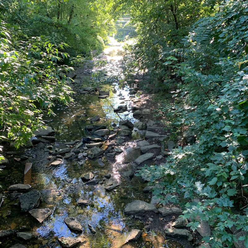 2726 Fernwood Ave, Abington to 2806 Anzac Ave, Abington