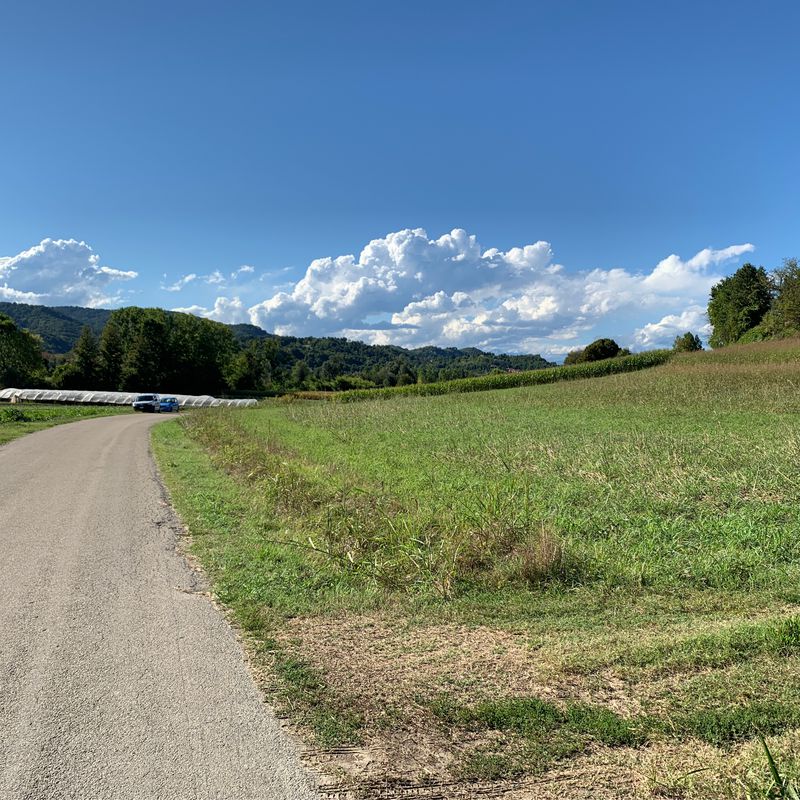 Casalborgone_StMariadiVezzolano 24km 580m