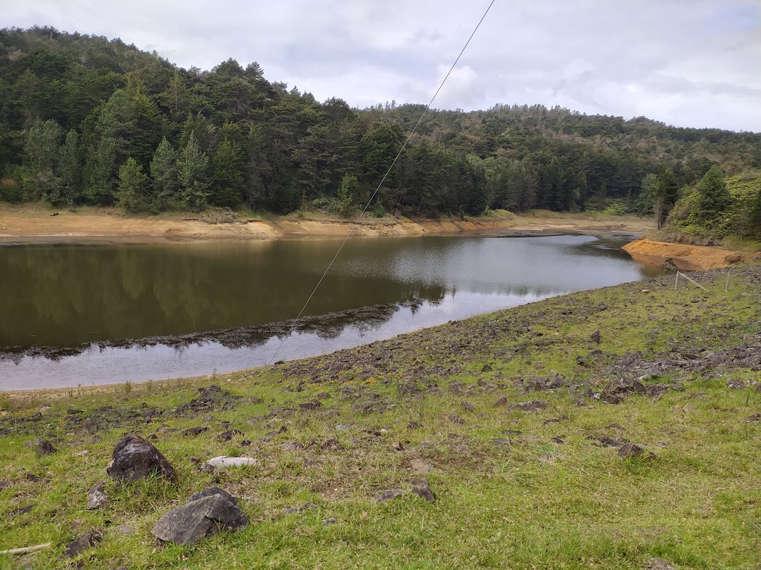 ARVI. LAGO Y