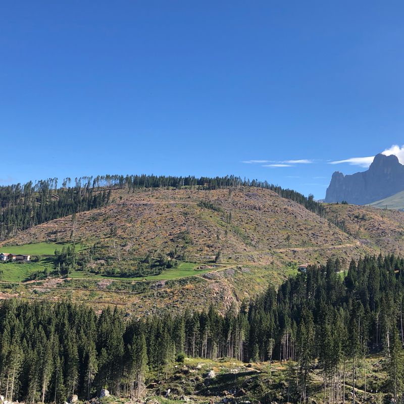 Da Strada de Cernadoi 3, Moena a Strada de Cernadoi 3, Moena