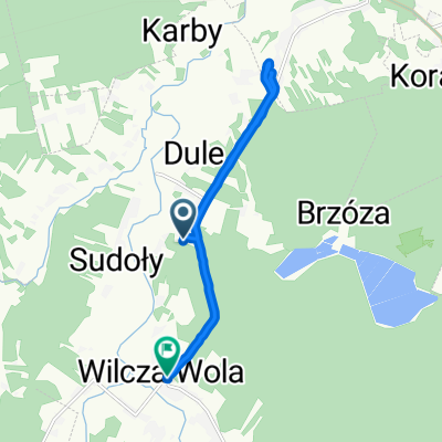 Wilcza Wola, Dzikowiec do Wilcza Wola 229, Wilcza Wola