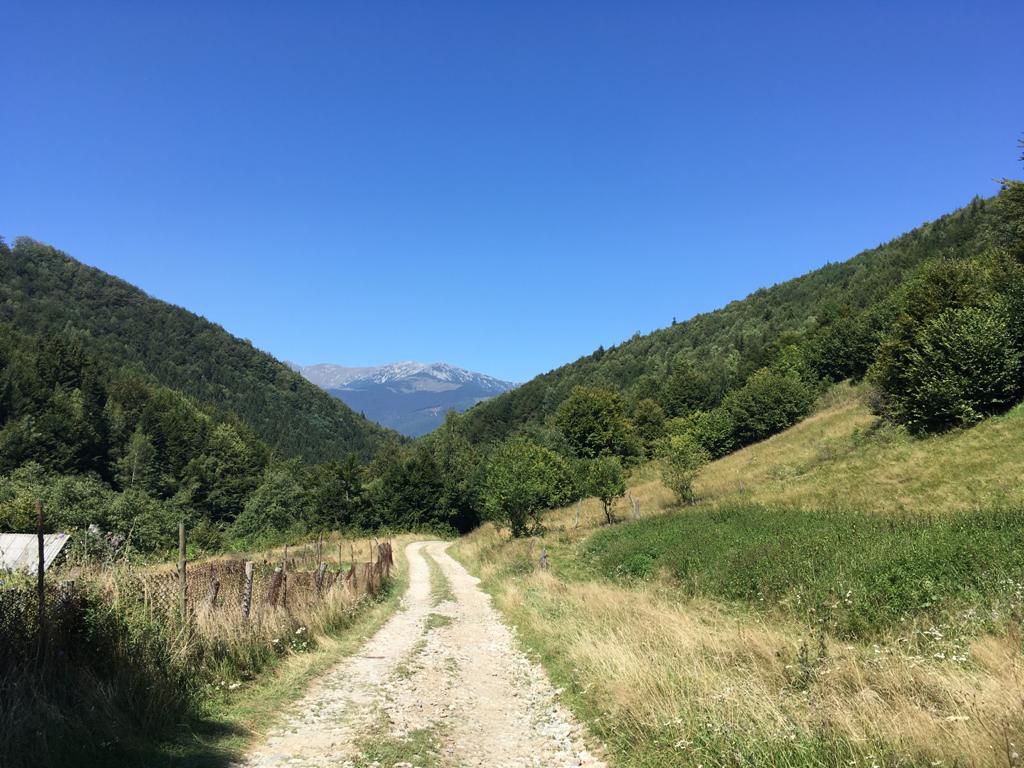 Cheile Sohodolului - Valea de Pesti si retur
