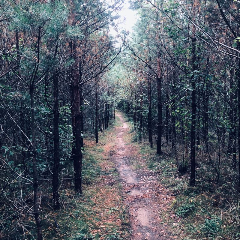 MTB Bór Ełcki