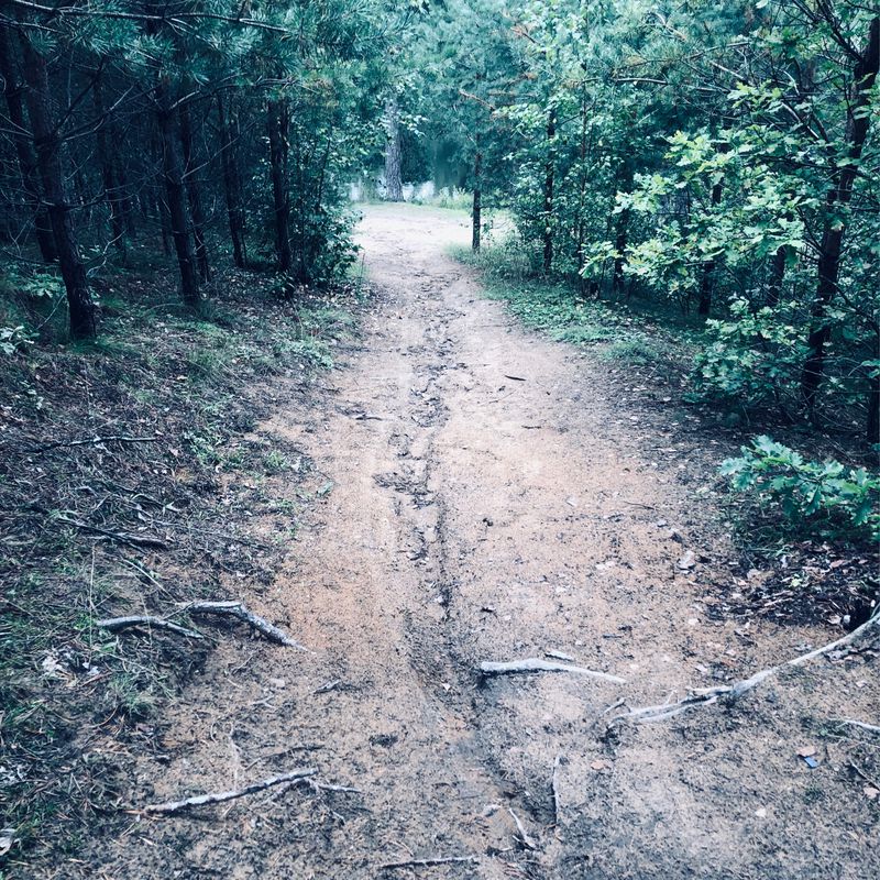 MTB Bór Ełcki