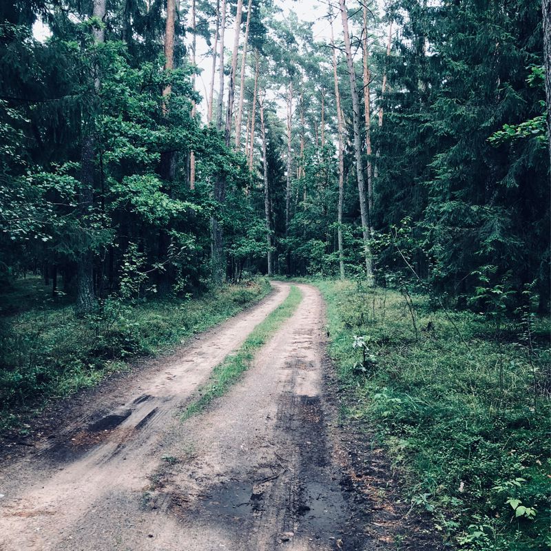 MTB Bór Ełcki