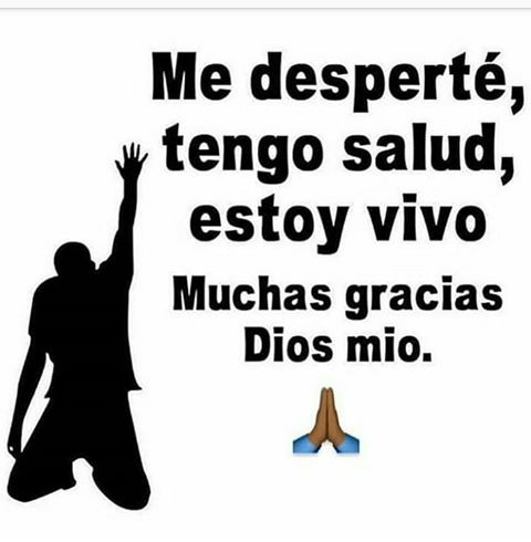 ELMERVVR Pura vida