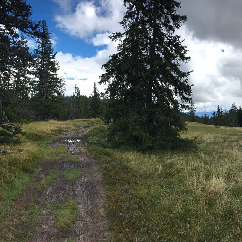 Rossbrandrunde