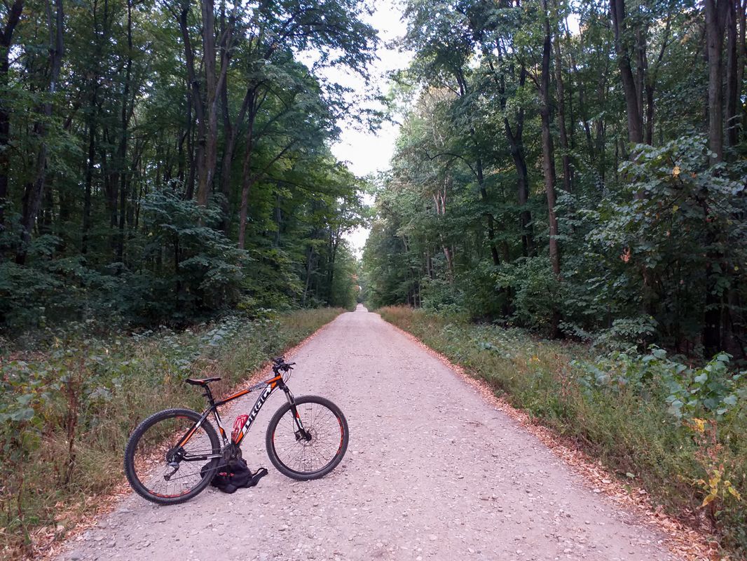 Peris MTB 35 km Peris - L. Cocioc - Balteni - Pd. Peris - L. Balteni - Peris (ADE 214)