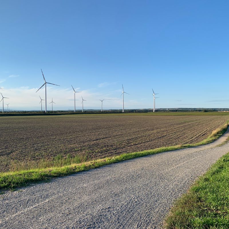 Von Gänserndorf zum Biotop in Strasshof und zur Madonna De Lourdes Kapelle bei Großengersdorf
