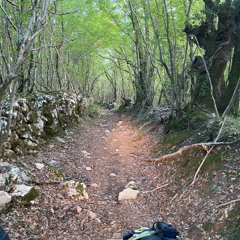 Risika 135B, Krk, Baška
