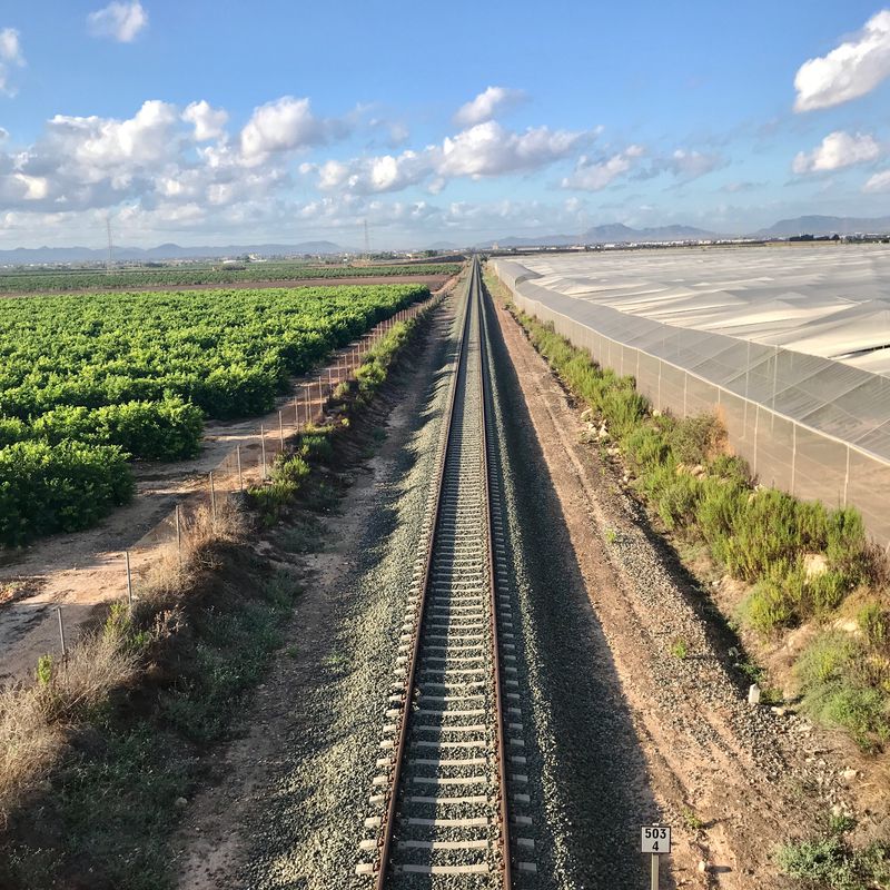 From Pilar de Horadada to Torre Pacheco and back by the water canal.