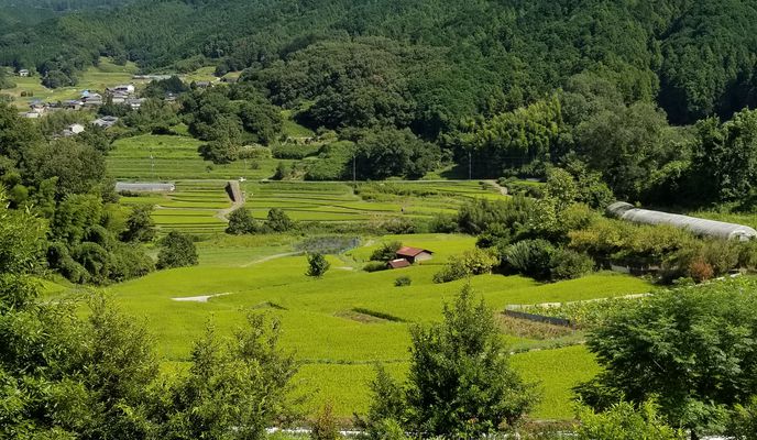 Zdjęcie 1 trasy Bikemap „21-2, Asuka to 1-chōme 3, Ikaruga”