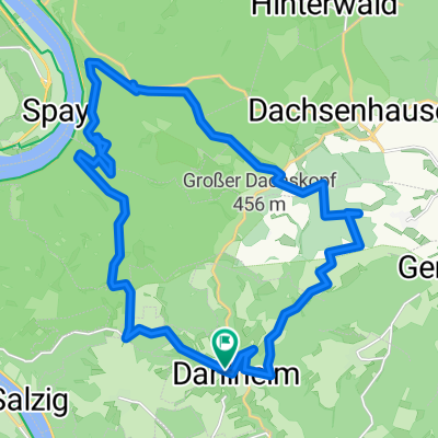 MTB-Dahlheim-Rheinsteig-Braubach-Büchelborn