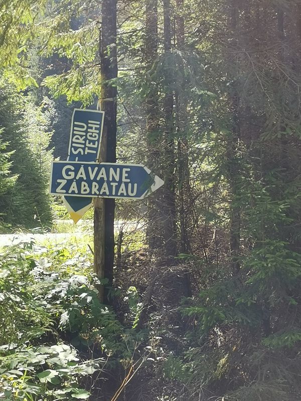 DN13E to Strada Vânătorilor 63, Sfântu Gheorghe