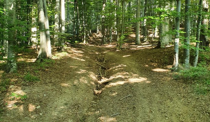 Foto 1 der Bikemap-Route "DC96 25, Gărâna to DC96 25, Gărâna" Foto 1 der Bikemap-Route "DC96 25, Gărâna to DC96 25, Gărâna"