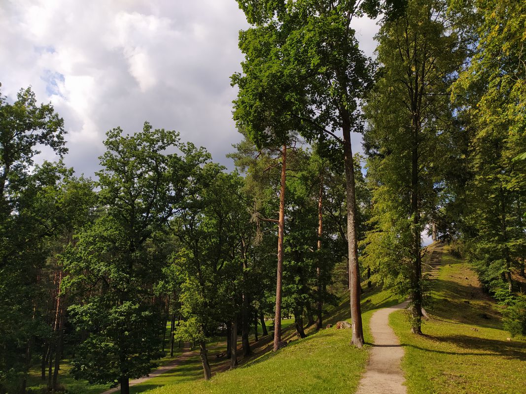 namai Pūčkorių piliakalnis-žemasis pavilnys