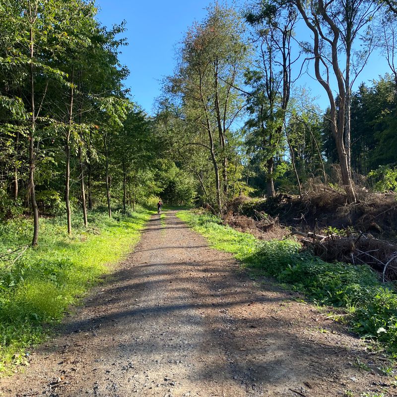 An den Obstgärten 15, Wachtberg nach An den Obstgärten 17, Wachtberg
