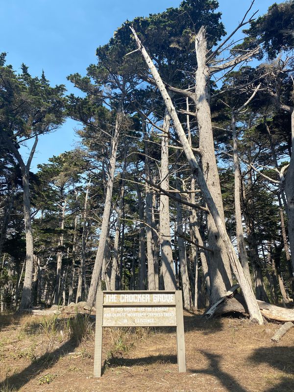 17 mile drive