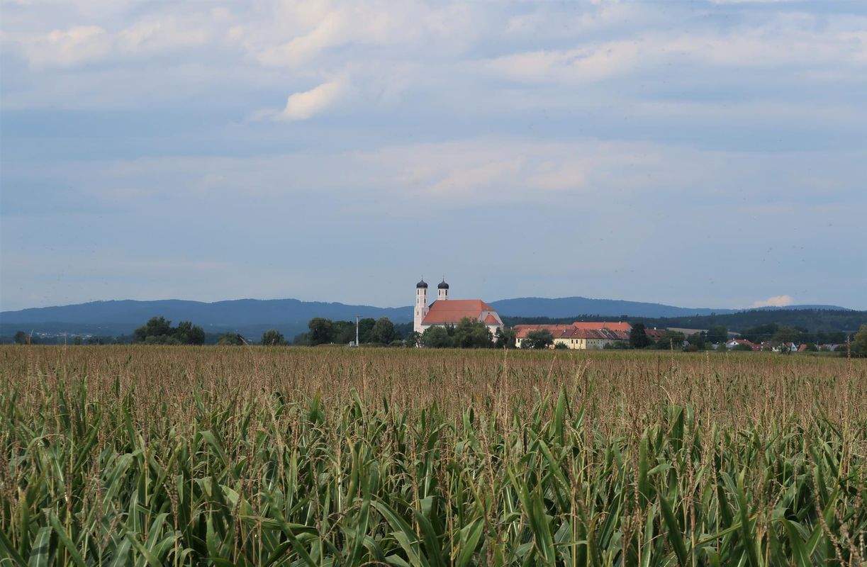 Bogenberg_2020