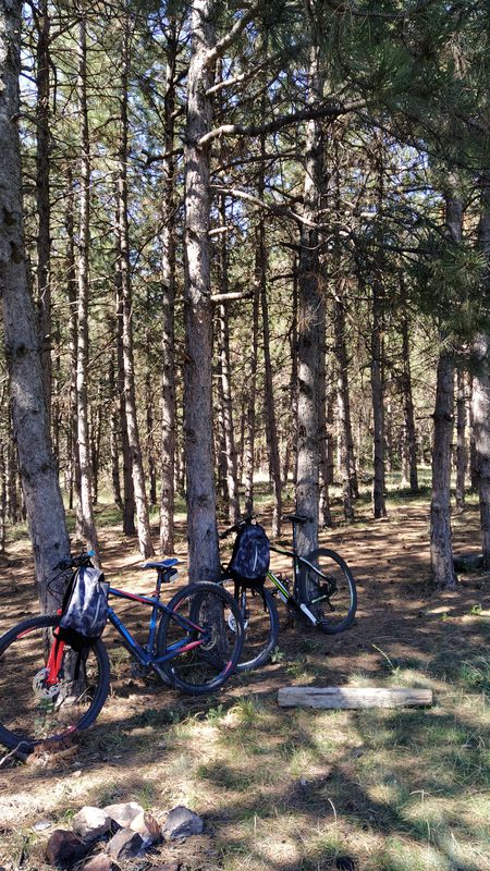 Usje, Stopanstvo, Shumichka, Markova Sushica, Gostilnica Pat za Cvetovo