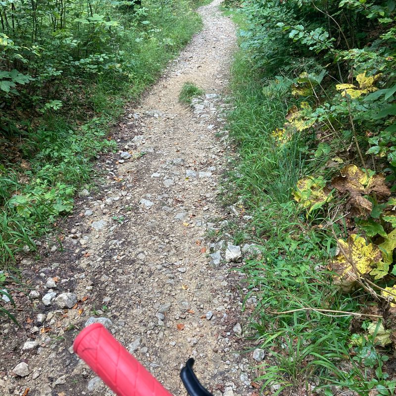 Bergstrasse, Grenchen nach Dahlienweg 5, Arch