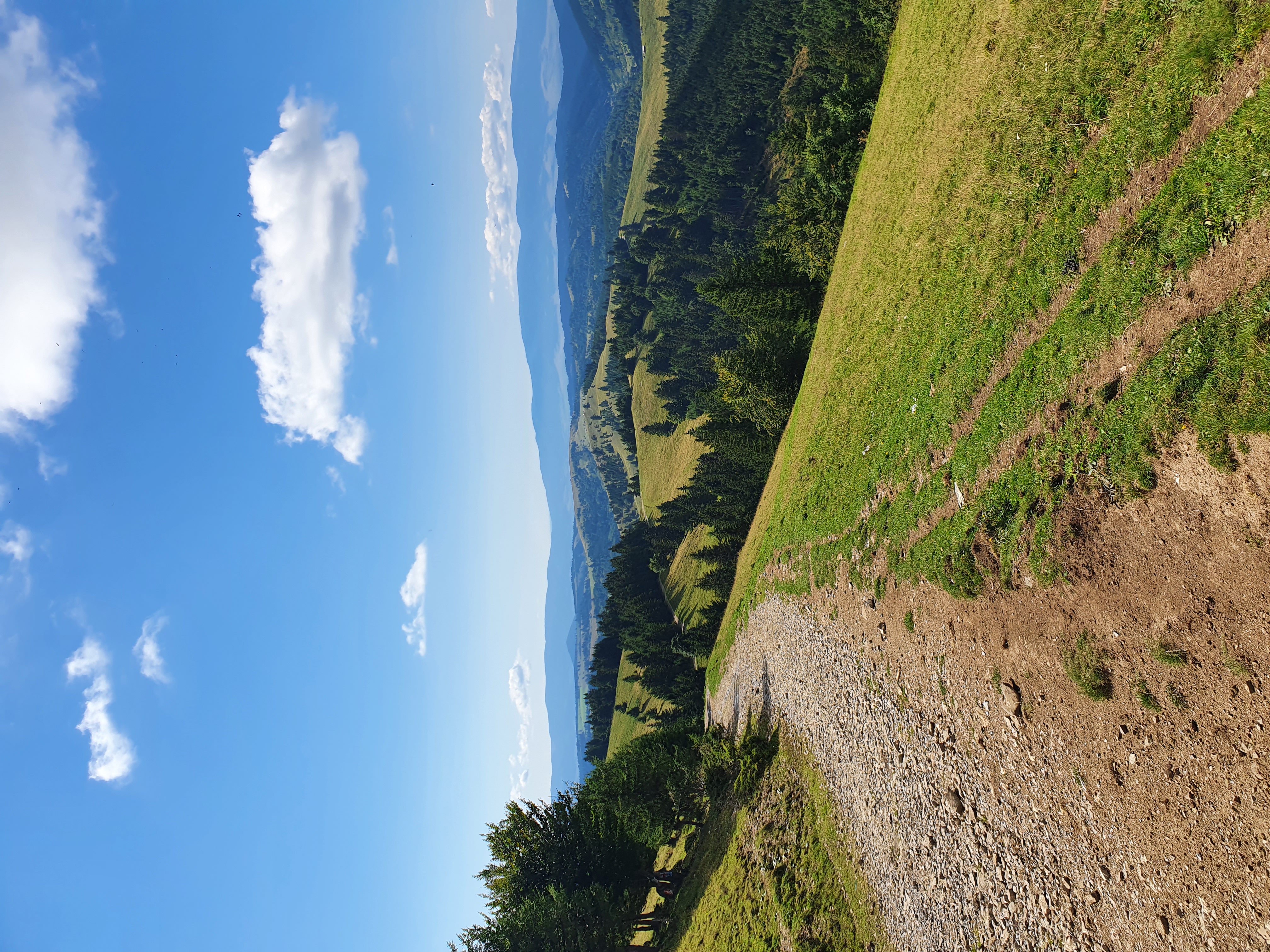 DC101 to Aleea Avântului 6, Miercurea Ciuc