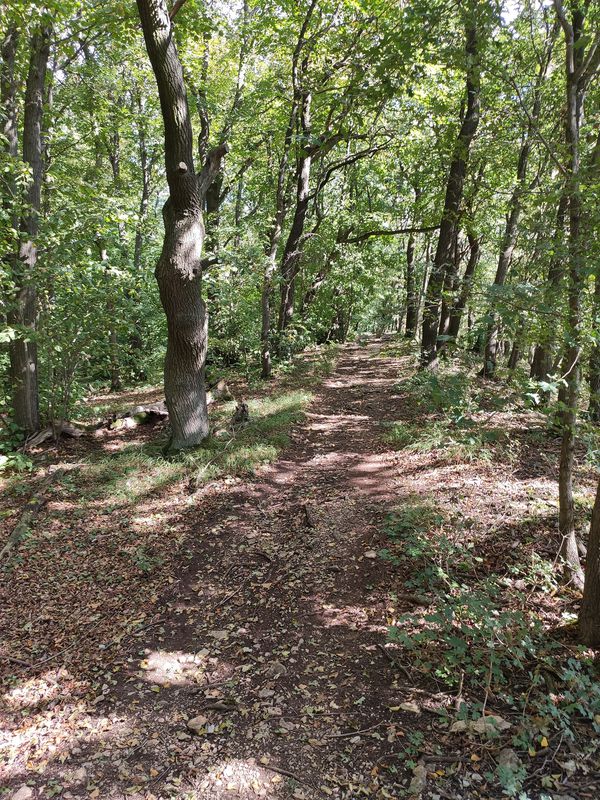 From Matergäßchen to Hörselberg-Hainich
