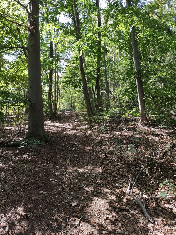 From Matergäßchen to Hörselberg-Hainich