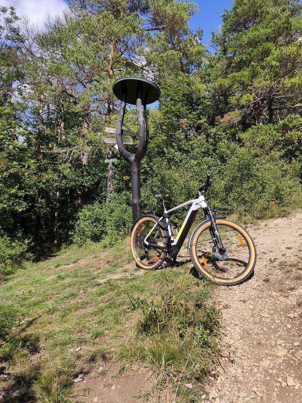 From Matergäßchen to Hörselberg-Hainich