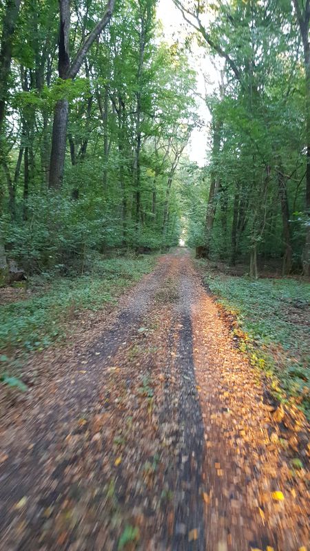 snagov - 18km -1h