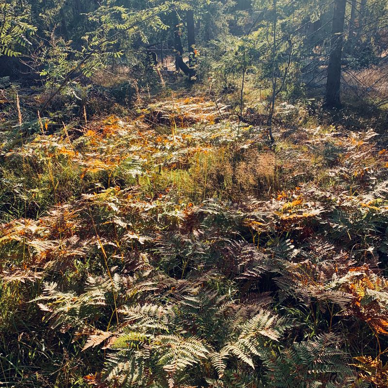 Gabels Gate 14, Oslo to Drammensveien 61B, Oslo