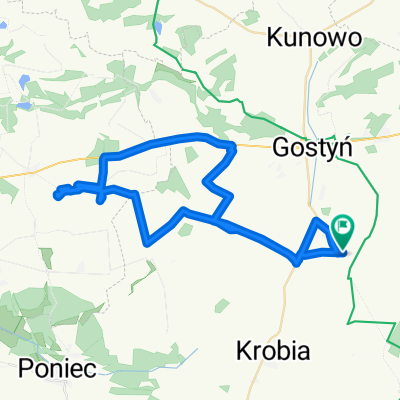 Ziółkowo -Sikorzyn-Łęka Wielka-Krzemieniewo-Drobnin-Krzemieniewo-Gola-Czajkowo-Sikorzyn-Krajewice