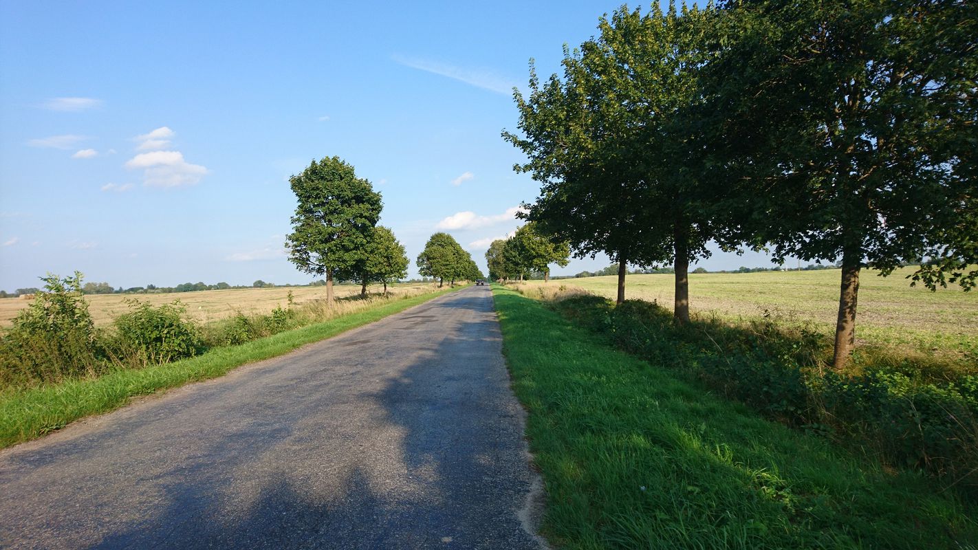 Nadbużański Szlak Rowerowy (Kodeń - Kosyń)