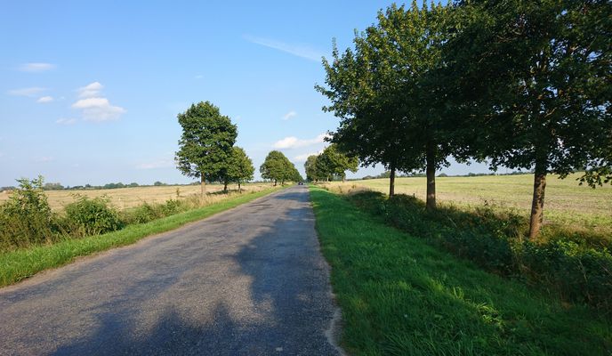 Photo 1 of the Bikemap route "Nadbużański Szlak Rowerowy (Kodeń - Kosyń)"